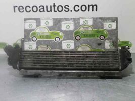 Renault Kangoo III Chłodnica powietrza doładowującego / Intercooler 8200221885