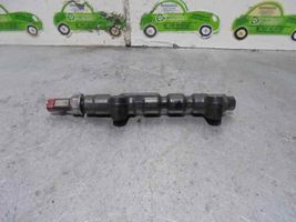 Citroen C3 Listwa wtryskowa 9642503380