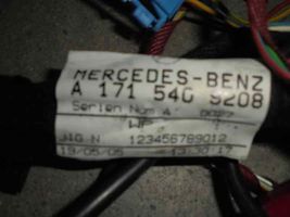 Mercedes-Benz SLK R171 Muu johtosarja A1715400209