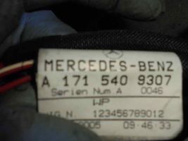 Mercedes-Benz SLK R171 Muu johtosarja A1715400209