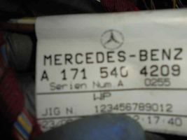 Mercedes-Benz SLK R171 Muu johtosarja A1715400209