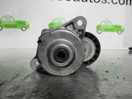 KIA Rio Generaattorin/laturin hihnankiristin 252612A000