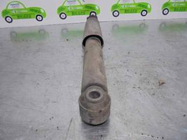 Opel Signum Rear shock absorber with coil spring 13208055