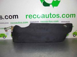 Audi A6 S6 C6 4F Rear door airbag 4F0880441B