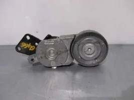 Seat Ibiza III (6L) Napinacz paska alternatora 4410201