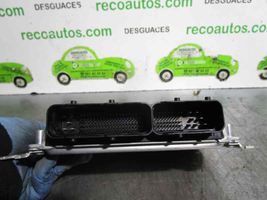 KIA Cerato Calculateur moteur ECU 391012A110