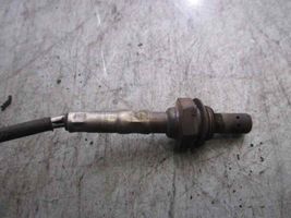 Renault Megane I Sonde lambda 7700868496