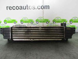 KIA Sorento IV Radiatore intercooler 281904A160