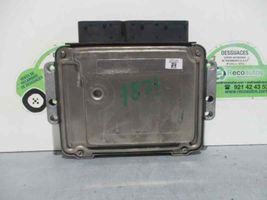 Hyundai Santa Fe Sterownik / Moduł ECU 3911327825