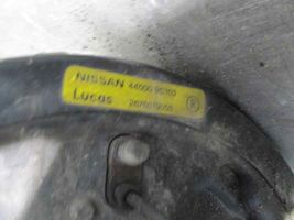 Nissan Serena Fuso a snodo con mozzo ruota posteriore 555015C000