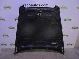 Audi A6 Allroad C6 Dangtis variklio (kapotas) 4F0823029F