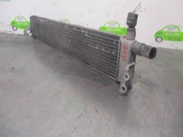 Toyota Prius (XW10) Radiatore di raffreddamento 