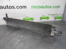 Toyota Prius (XW10) Radiatore di raffreddamento G902047020