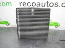 Seat Altea Oro kondicionieriaus radiatorius (salone) 1K0820679