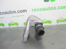 Seat Inca (6k) Kolektorius įsiurbimo 028129713H