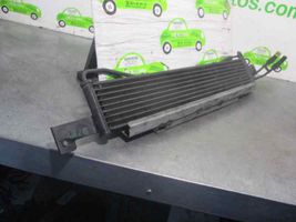 Hyundai Santa Fe Engine oil radiator 254602B100