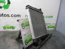 Seat Terra Radiateur de refroidissement 