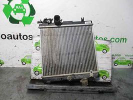 Seat Terra Radiateur de refroidissement 