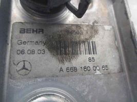 Mercedes-Benz A W168 Radiatore dell’olio del motore 6681800065