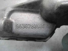 Citroen Xsara Tepalo siurblys 9638783980