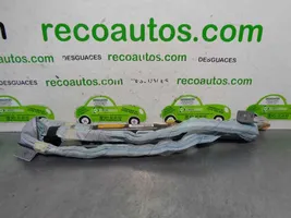 Lexus RX III Airbag de toit 6217048011