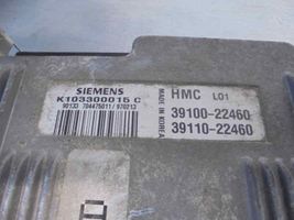 Hyundai Accent Calculateur moteur ECU 3910022460