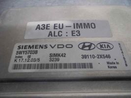 KIA Rio Calculateur moteur ECU 391102X546