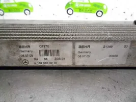 Mercedes-Benz B W245 Getriebe/Getriebeölkühler A1695000200