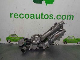 Citroen C5 Termostat 9619903080