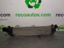 Renault Kangoo III Chłodnica powietrza doładowującego / Intercooler 8200322941B