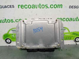 Hyundai Trajet Sterownik / Moduł ECU 3910127110