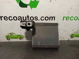 Ford Focus Radiatore aria condizionata (A/C) (abitacolo) H1F119849AA