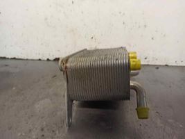 Volkswagen Phaeton Radiateur d'huile moteur 3D0409061G