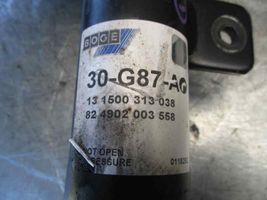 Peugeot 206+ Amortisseur avant 30G87A