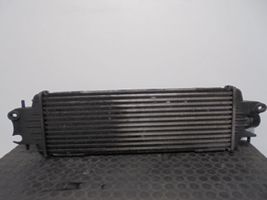 Opel Vivaro Intercooler radiator 93850451