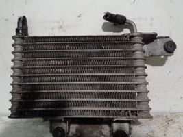 Hyundai XG Intercooler radiator 254602E100