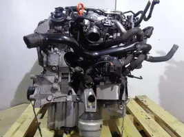 Seat Exeo (3R) Engine CAGC