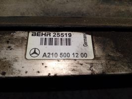 Mercedes-Benz E W210 Żarówka do lampy przedniej A2105001200