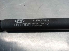 Hyundai i20 (PB PBT) Amortyzator klapy tylnej bagażnika 817701J000