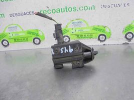 Citroen C4 II Moteur de verrouillage trappe à essence 9651690280