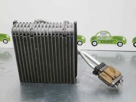 Volkswagen Polo Air conditioning (A/C) radiator (interior) 