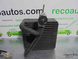 Mercedes-Benz ML W163 Air conditioning (A/C) radiator (interior) 