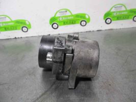 Mercedes-Benz Vito Viano W638 Tendicinghia generatore/alternatore 