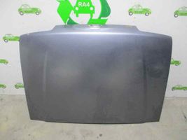 Ford Fiesta Engine bonnet/hood 