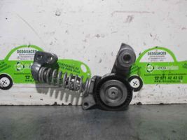 Volvo V40 Tendicinghia generatore/alternatore 