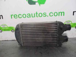 Fiat Bravo - Brava Radiatore intercooler 