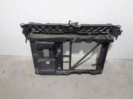 Peugeot 1007 Front grill 
