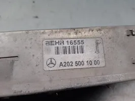 Mercedes-Benz C W202 Välijäähdyttimen jäähdytin A2025001000