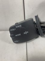 Ford Focus Head unit multimedia control 