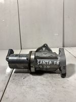 Hyundai Santa Fe EGR valve 